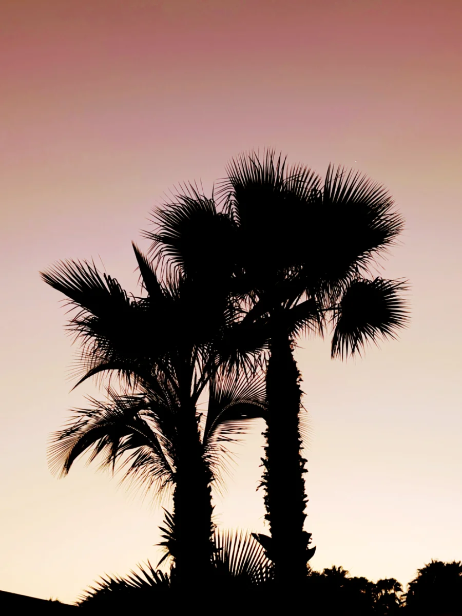 Fotoreeks Gloed — 2