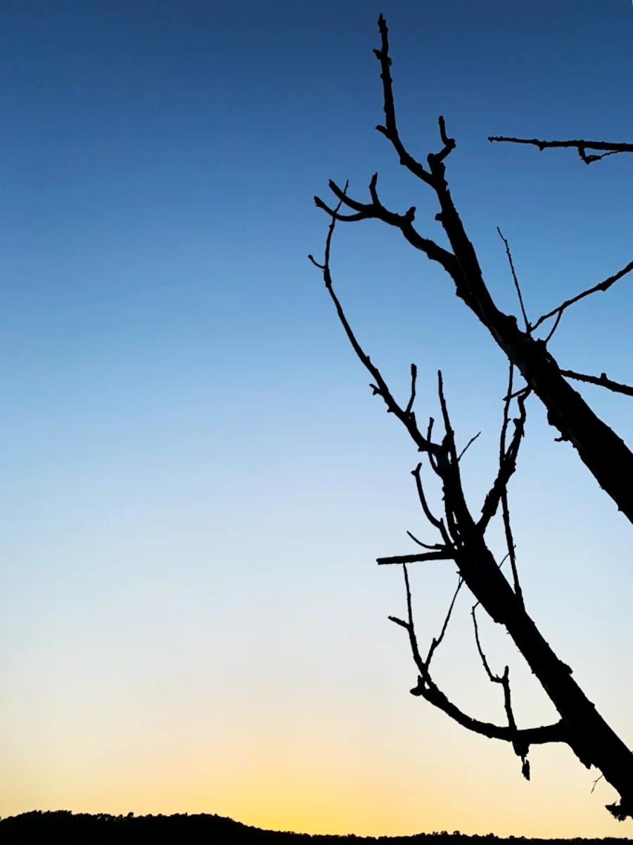 Fotoreeks Gloed — 5