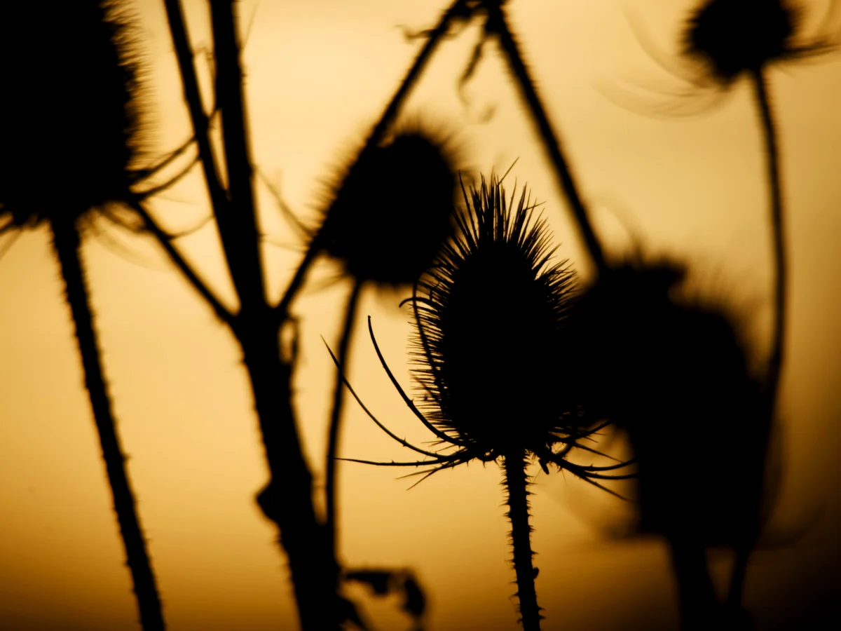 Fotoreeks Gloed — 6