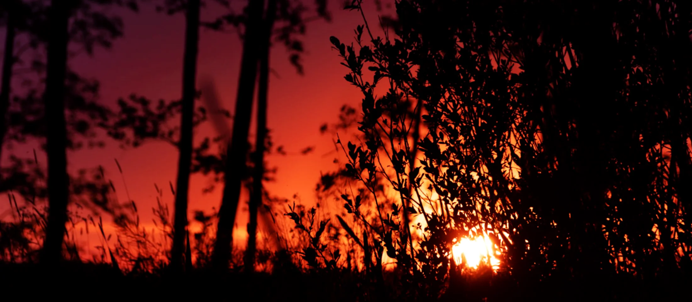 Fotoreeks Gloed — 1